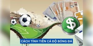 Cách Tính Tiền Cá Độ Bóng Đá Cho Newbie Cộng Đồng 77Bet