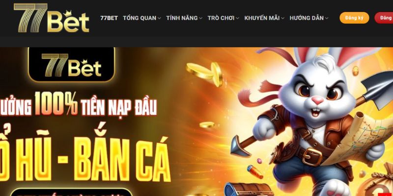 Sân chơi đang rất thành công 