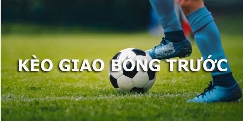 Hướng dẫn cách đọc và cung cấp đến bạn tỷ lệ cực hấp dẫn